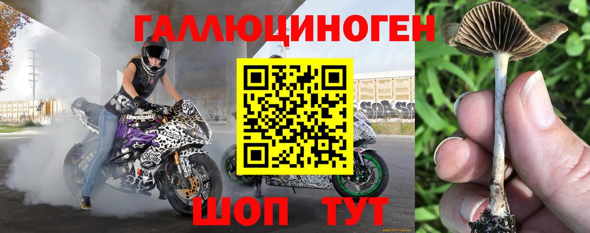 Галлюциногенные грибы мухоморы  Вход с VPN  Галлюциногенные грибы мухоморы  купить наркоту  Мариинск 