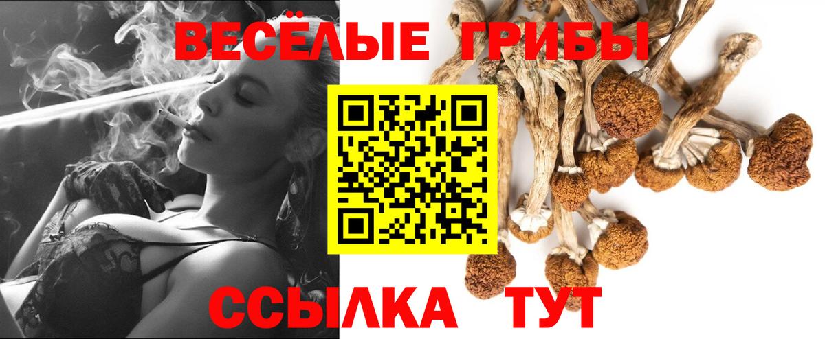 Псилоцибиновые грибы мицелий Мариинск